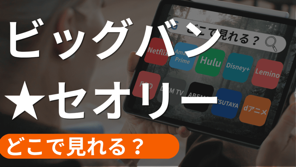 ビックバンセオリーの配信