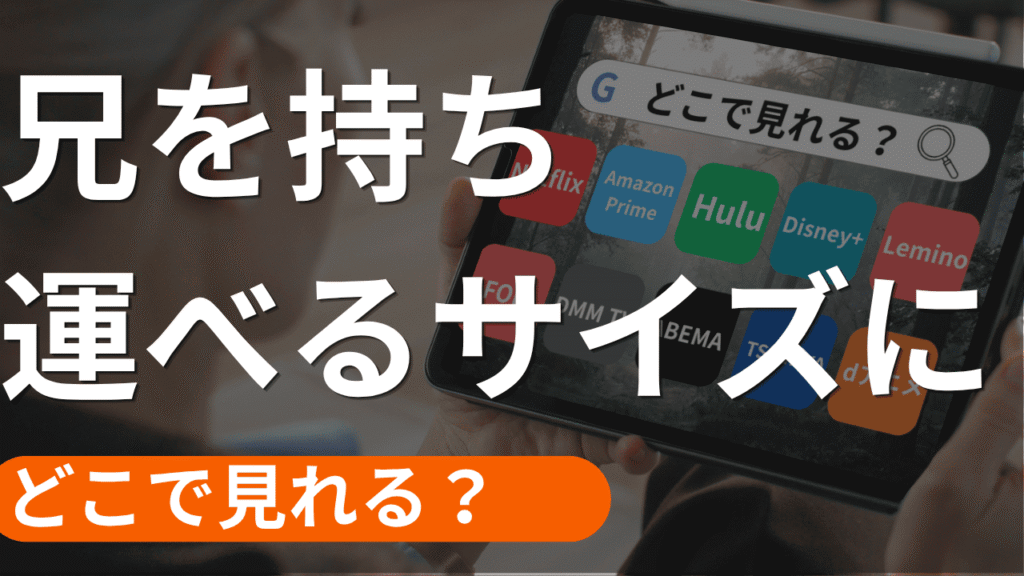 兄を持ち運べるサイズにの配信